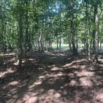 Property photo for land for sale in Wayne County Tennessee