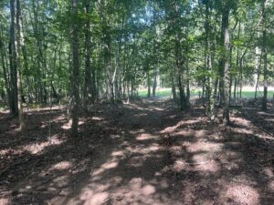Property photo for land for sale in Wayne County Tennessee