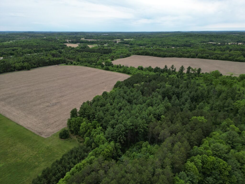 Property photo for land for sale in Waushara County Wisconsin