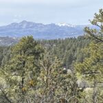 Property photo for land for sale in Rio Arriba County New Mexico