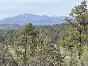 Property photo for land for sale in Rio Arriba County New Mexico