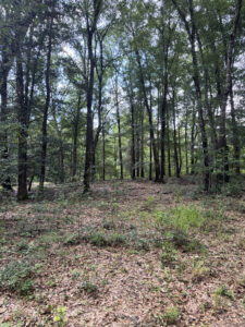 Property photo for land for sale in Colquitt County Georgia