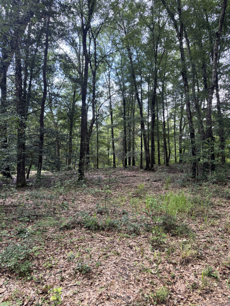Property photo for land for sale in Colquitt County Georgia