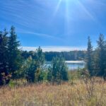 Property photo for land for sale in Montmorency County Michigan