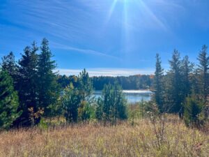 Property photo for land for sale in Montmorency County Michigan