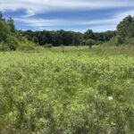 Property photo for land for sale in Monroe County Wisconsin