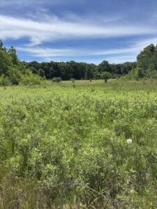 Property photo for land for sale in Monroe County Wisconsin