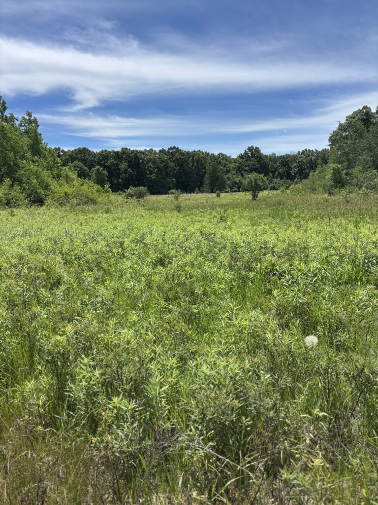 Property photo for land for sale in Monroe County Wisconsin