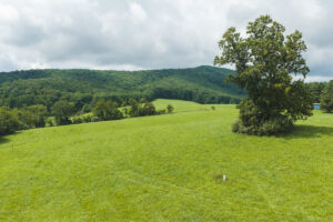 Property photo for land for sale in Floyd County Virginia