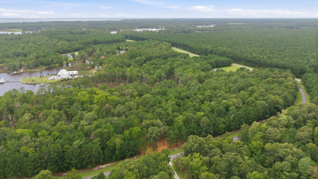 711b8ceb-9231-46a5-91a2-067cadfa740a.jpg