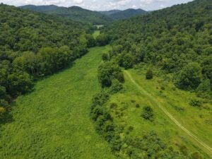Property photo for land for sale in Wayne County Kentucky