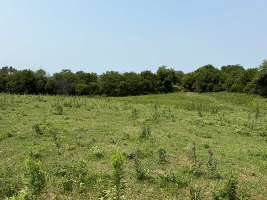 Property photo for land for sale in Schuyler County Missouri