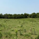 Property photo for land for sale in Schuyler County Missouri