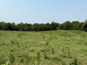 Property photo for land for sale in Schuyler County Missouri