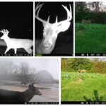Property photo for land for sale in Monroe County Wisconsin
