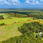 Property photo for land for sale in Gilchrist County Florida