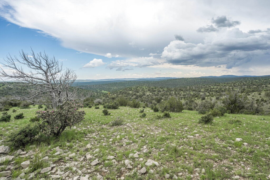 78a9d9de-bd4e-4027-8ac3-a148836a6345.jpg