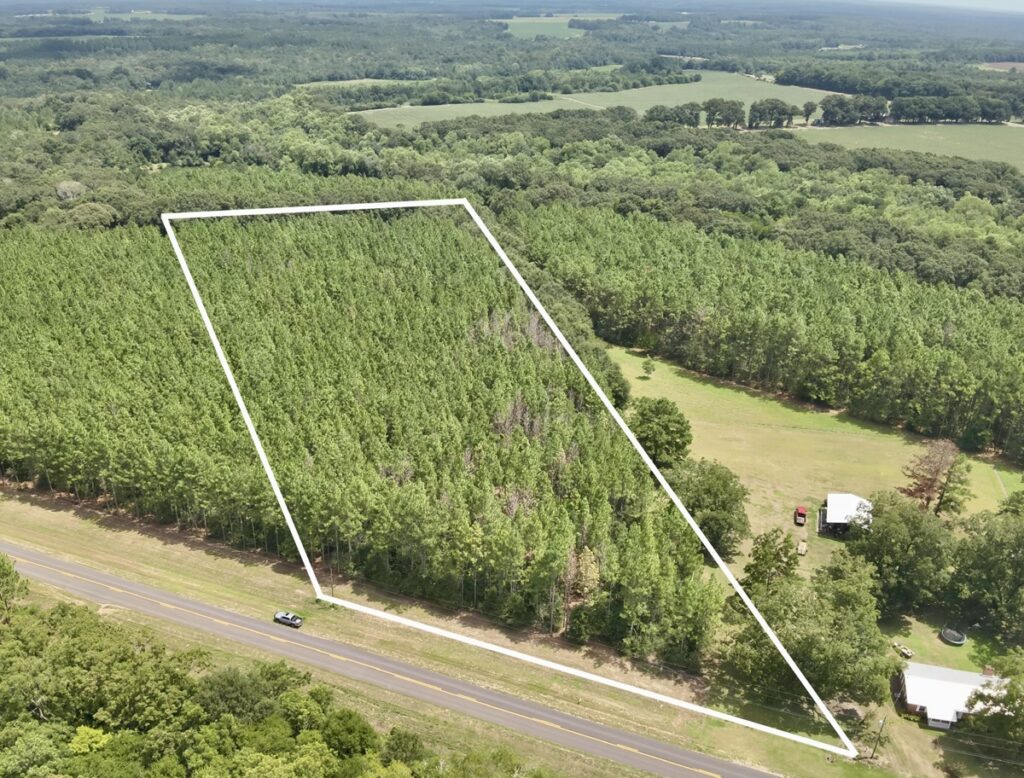 Property photo for land for sale in Geneva County Alabama