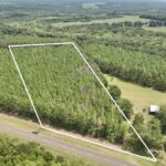 Property photo for land for sale in Geneva County Alabama