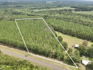 Property photo for land for sale in Geneva County Alabama