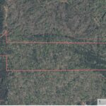 Property photo for land for sale in Union County Mississippi