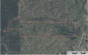 Property photo for land for sale in Union County Mississippi
