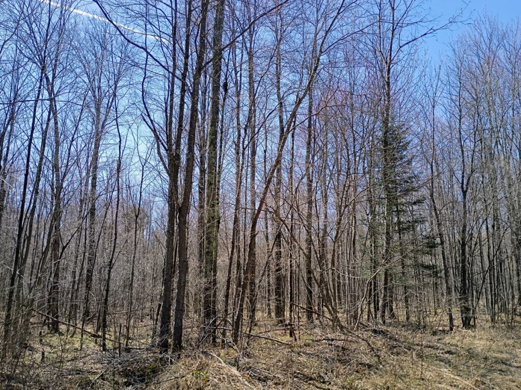 7af5a235-3d57-4a78-ad17-1f2fd19aa56f.jpg