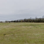 Property photo for land for sale in Wood County Texas