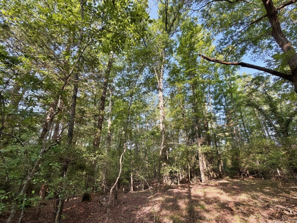 7d50361d-c542-4e78-af05-23213690d442.jpg