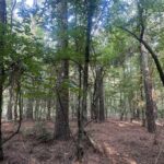Property photo for land for sale in Calhoun County Arkansas