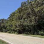 Property photo for land for sale in Bowie County Texas