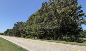 Property photo for land for sale in Bowie County Texas