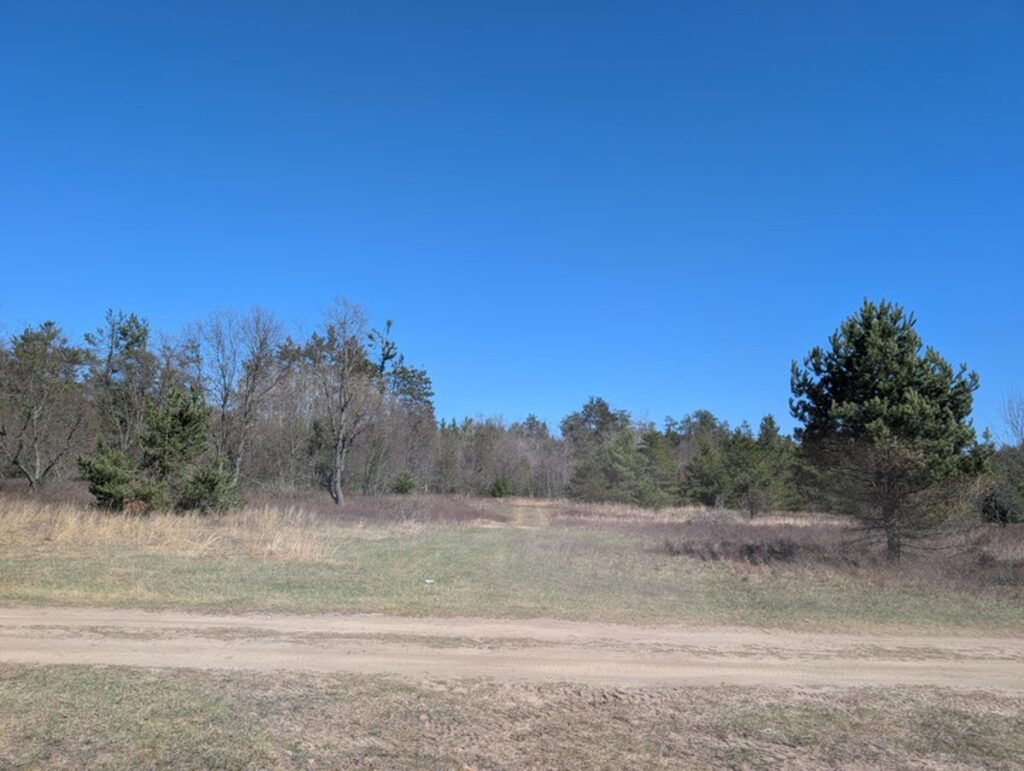 Property photo for land for sale in Montmorency County Michigan