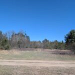 Property photo for land for sale in Montmorency County Michigan
