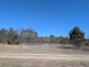 Property photo for land for sale in Montmorency County Michigan