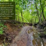 Property photo for land for sale in Prentiss County Mississippi