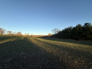 Property photo for land for sale in Green Lake County Wisconsin