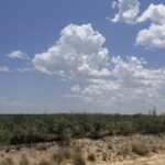 Property photo for land for sale in Pecos County Texas