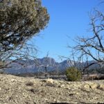 Property photo for land for sale in Rio Arriba County New Mexico