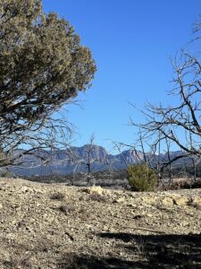 Property photo for land for sale in Rio Arriba County New Mexico