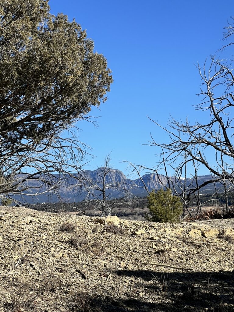 Property photo for land for sale in Rio Arriba County New Mexico
