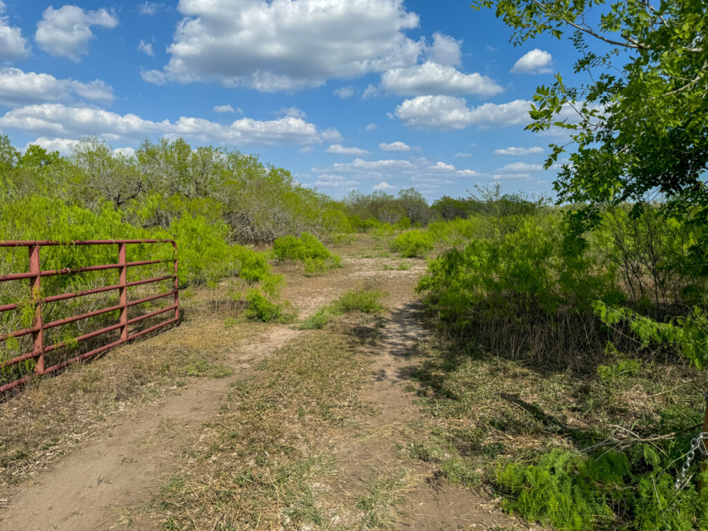 824ac00d-6929-4566-a0e0-fe9790bcf5bf.jpg