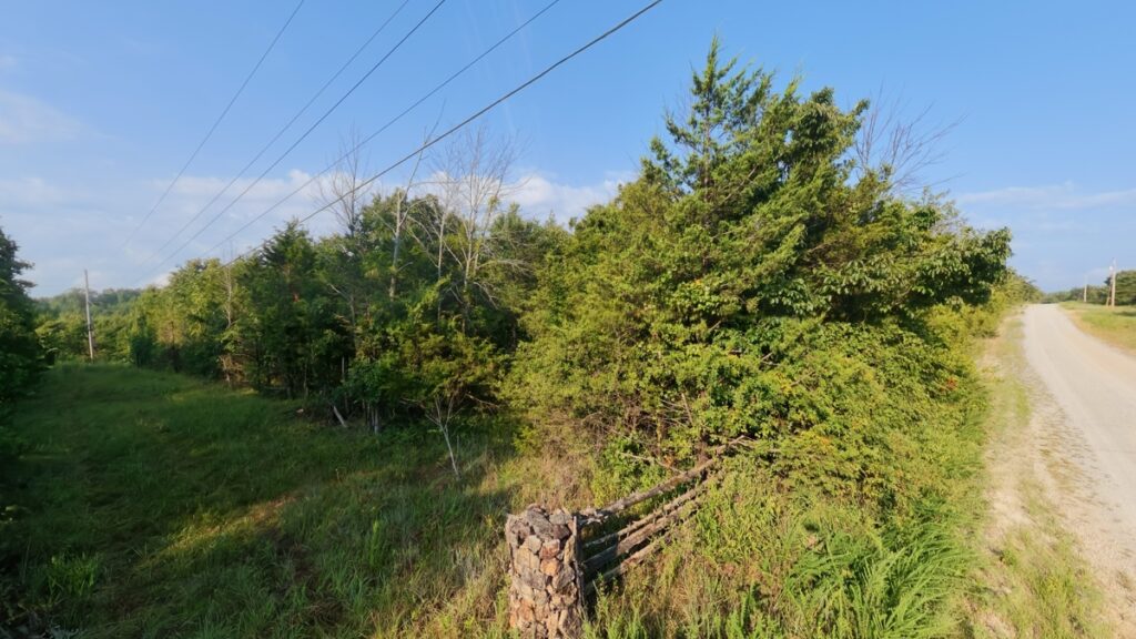 84bb4b28-9ef6-4f1f-af7c-0568599a2e99.jpg