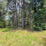 Property photo for land for sale in Pike County Mississippi