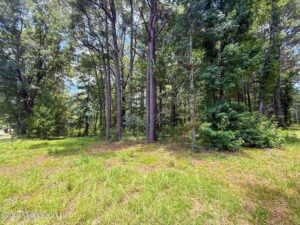 Property photo for land for sale in Pike County Mississippi