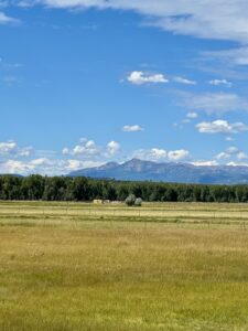 Property photo for land for sale in Rio Arriba County New Mexico