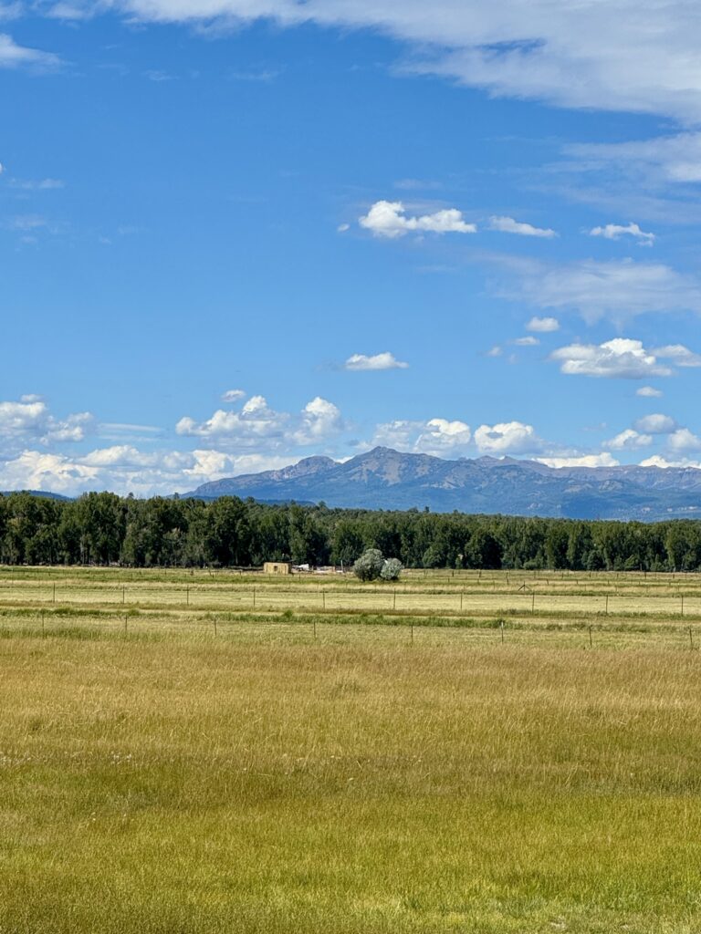 Property photo for land for sale in Rio Arriba County New Mexico