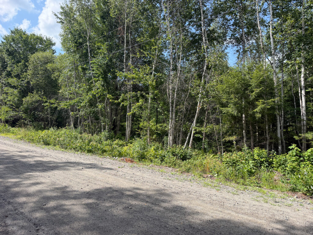 86a3b2f8-b635-4521-8f07-5ae0f6042cc3.jpg
