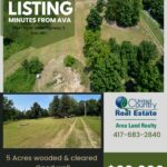 Property photo for land for sale in Douglas County Missouri