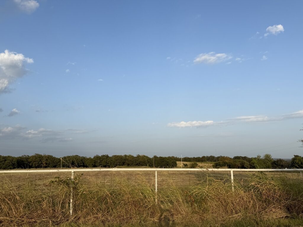 8ad0090c-209c-43f6-b629-9c6e3975a336.jpg